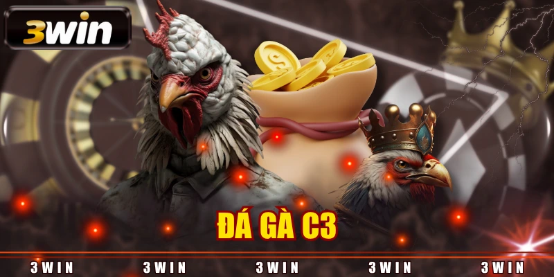 đá gà c3